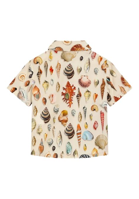 Shirt with Shell Print DOLCE & GABBANA KIDS | L14S53-HS5TTHK5PI
